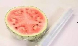 都有膜 吃瓜,探索都有膜的奇妙世界