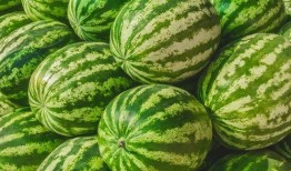 吃瓜都是在哪看的,吃瓜群众都在哪里“围观”热点事件？