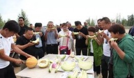 吃老汉瓜的视频,一场别开生面的乡村美食盛宴