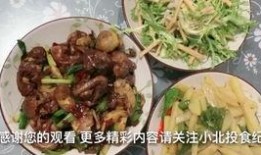 vlog的日常吃瓜,跟随镜头，一起品尝生活“瓜果”