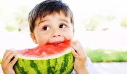 吃瓜落雪后续,揭秘神秘事件背后的真相与谜团