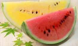 吃瓜引起什么病,小心患上“甜蜜病”