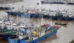 舟山渔船吃瓜事件,一场意外引发的海洋环保热议