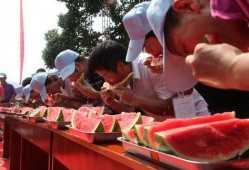 伊州商会吃瓜任务怎么吃,轻松掌握瓜分商机秘诀