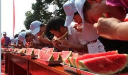 伊州商会吃瓜任务怎么吃,轻松掌握瓜分商机秘诀