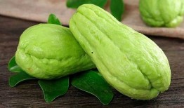 痔疮吃佛手瓜,天然食疗新选择