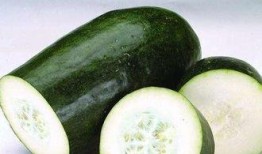 嘉贵妃的吃瓜日常,揭秘后宫风云