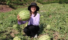 小沙子吃瓜,揭秘瓜界那些事儿