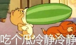 猫和老鼠带你吃瓜,一起吃瓜畅游