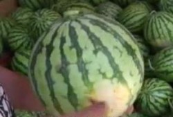 泰国吃瓜群众吃货,泰国“吃瓜群众”的美食狂欢之旅